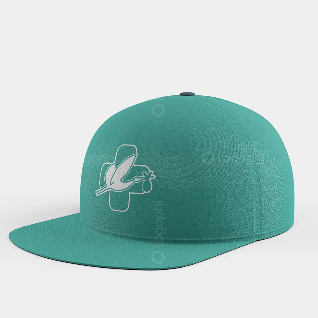 Maternity Hospital Logo for sale - Stork and Cross Hat mockup